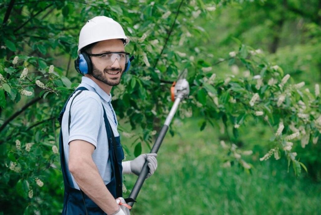 Arborist Sibiu Sibiu Util Alpin Solutions